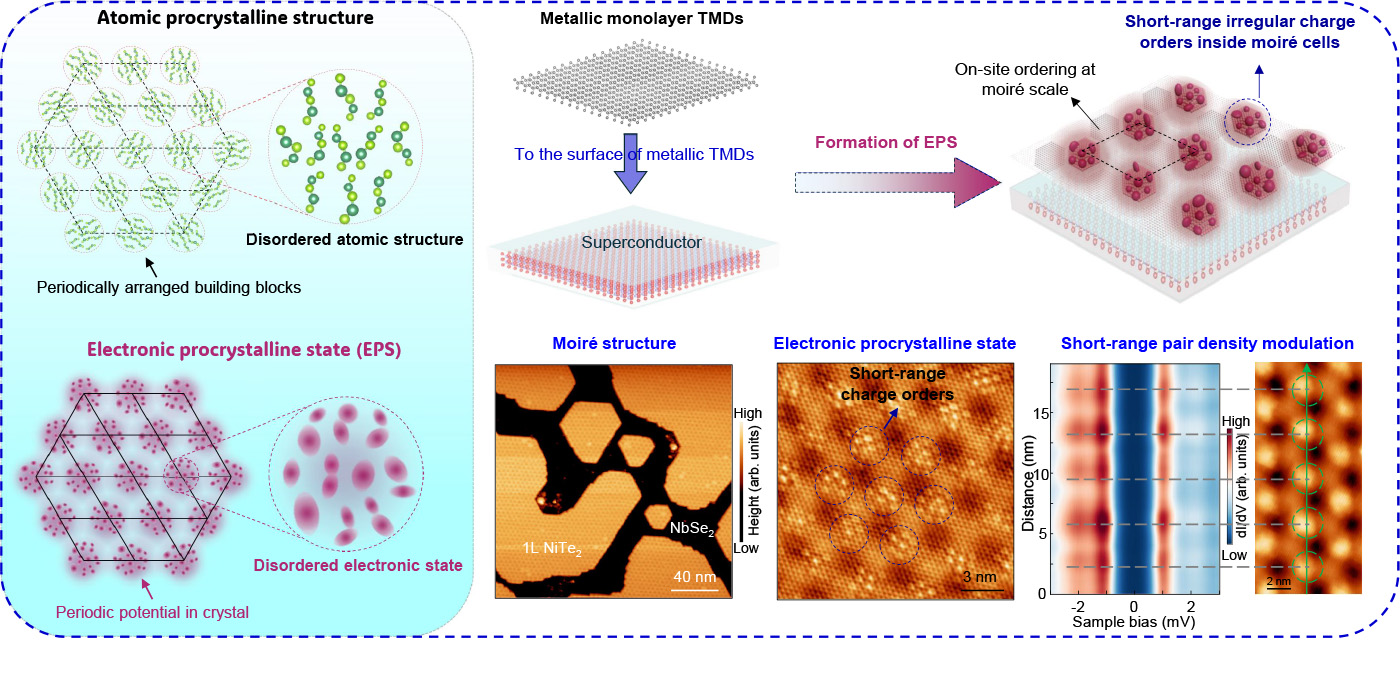 新型“电子原晶态”二维材料的构筑及其短程密度波