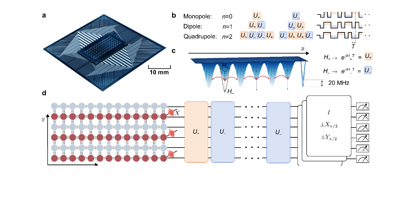 78量子比特随机多极驱动预热化进展